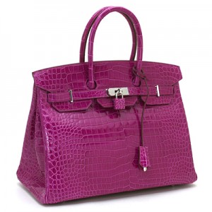 クロコポロサスのバーキン