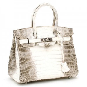 ヒマラヤのバーキン