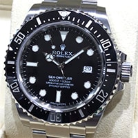 シードゥエラー 116600のイメージ画像