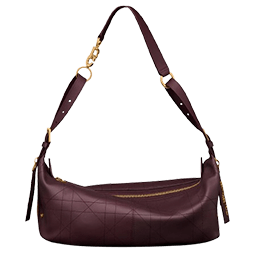 ディージャーニー