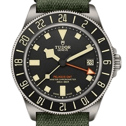 ペラゴスFXD GMT