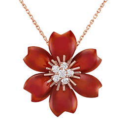 ローズドノエル