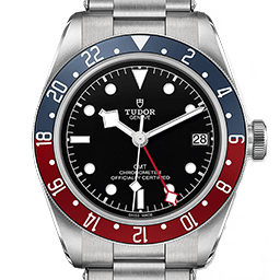 チューダーのイメージ画像