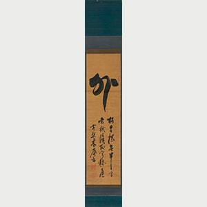 全体の写真